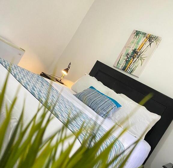 اتاق استاندارد, Rig Casa Conde