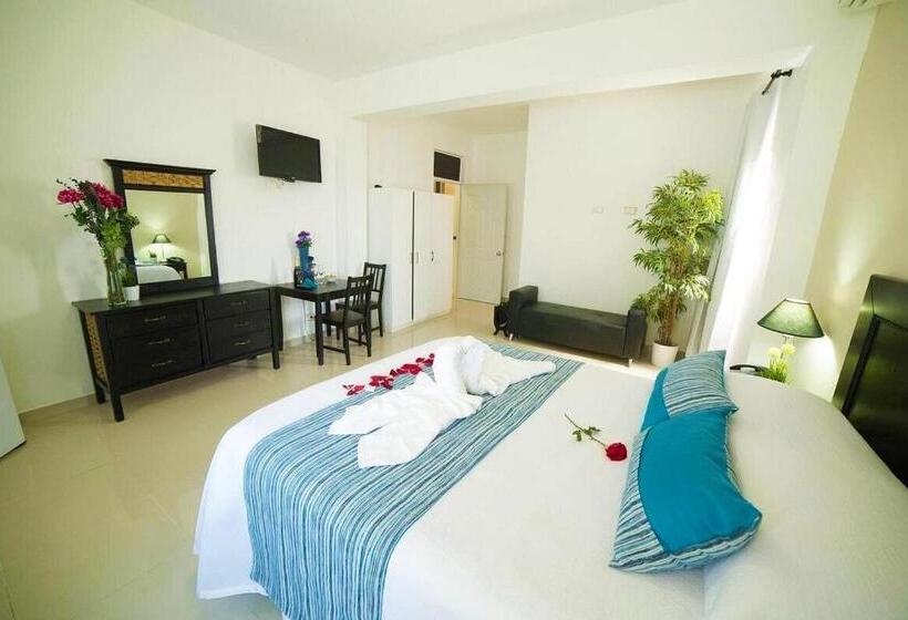 Habitación Estándar Cama King, Rig Casa Conde