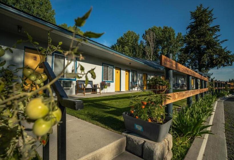 بنجلو عائلى, Columbia Point Resort