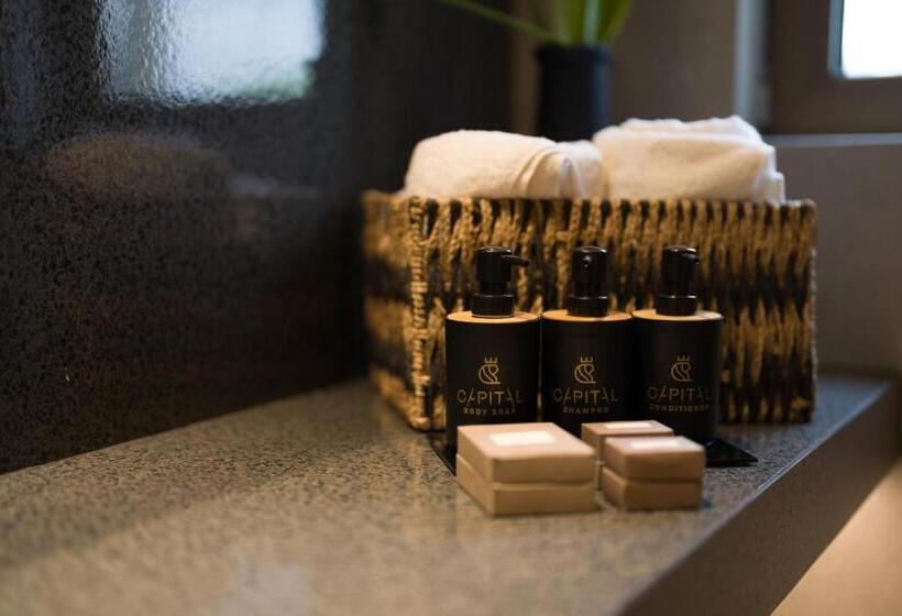 전망이 좋은 디럭스 스위트, Capital Luxury Suites