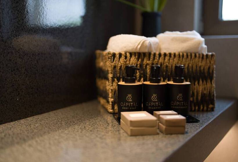 전망이 좋은 디럭스 스위트, Capital Luxury Suites