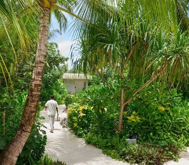 ویلای یک اتاق خوابه با استخر شنا, Alila Kothaifaru Maldives
