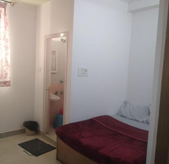 标准单人间, Mysore Mahalakshmis