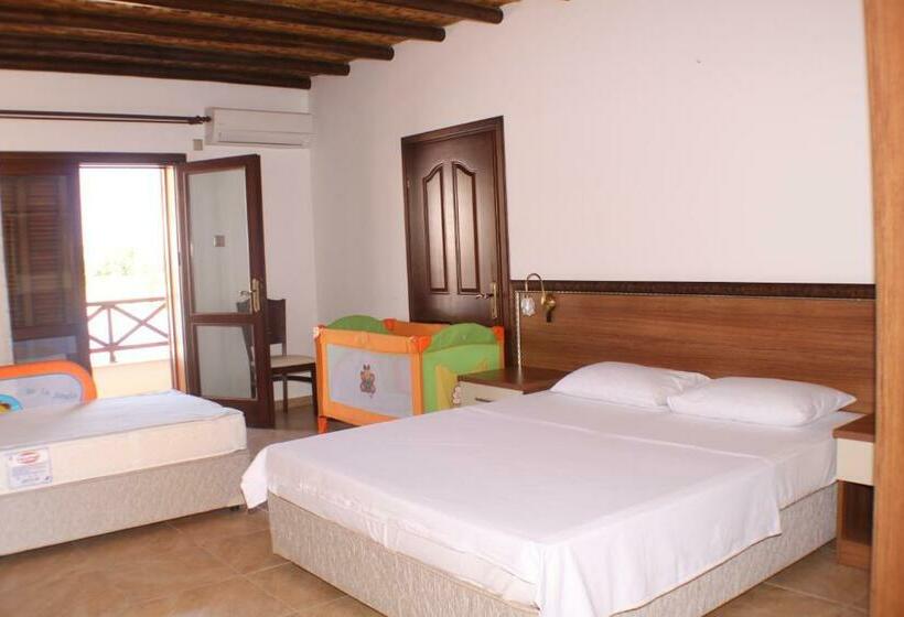 标准三人间, Vouni King