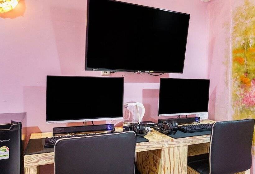 Quarto Estandar, Amant