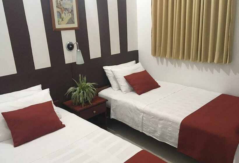 스탠다드 룸, Buganvilia