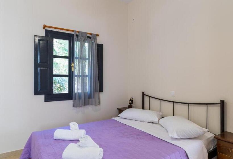 高级大房间, Soulis