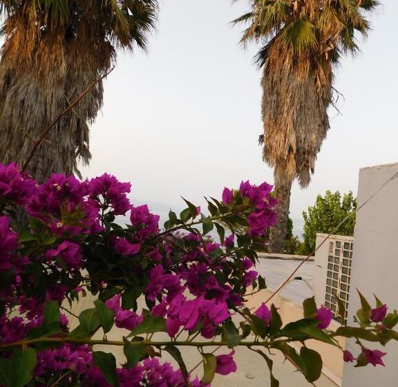 آپارتمان 1 خوابه با چشم‌انداز باغ, Aithrio