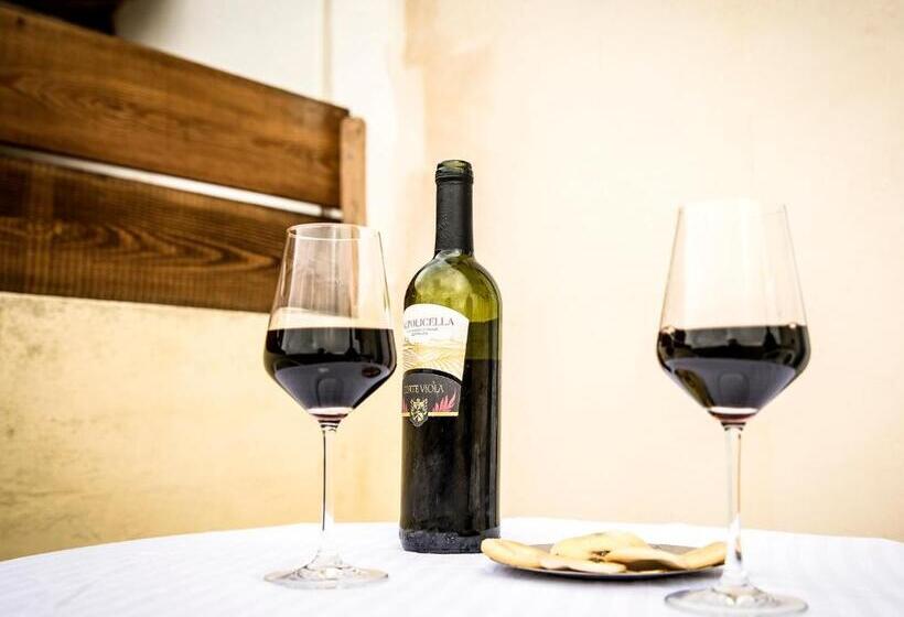 آپارتمان 1 خوابه با تراس, Estrella Lodging