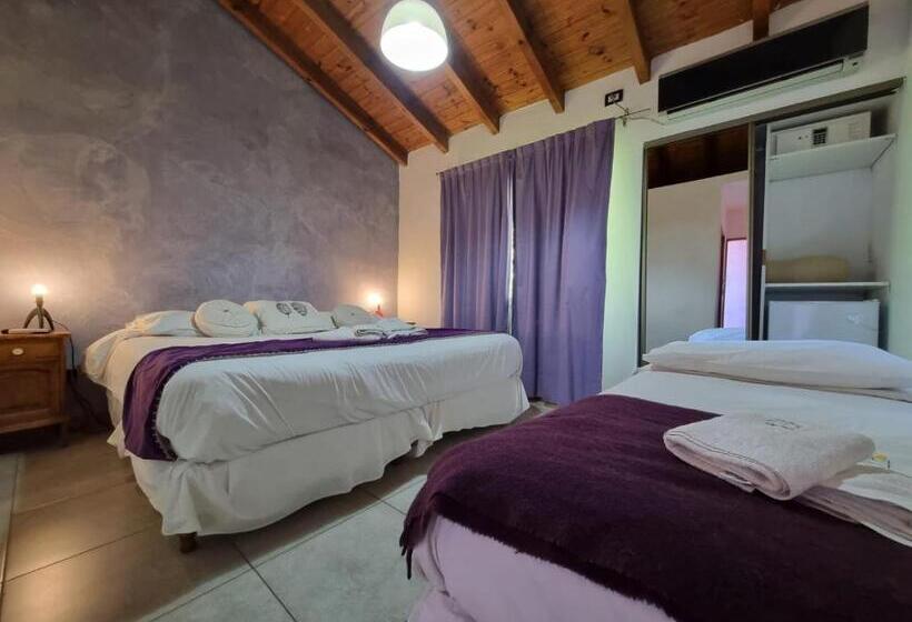 اتاق استاندارد سه نفره, Antiguo Camino