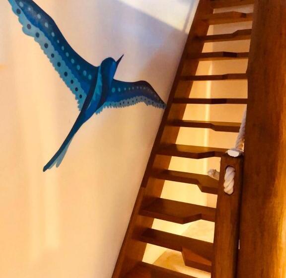 标准工作室带泳池景, El Pueblito