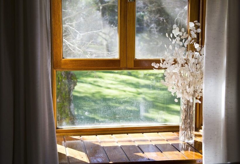 Студия Стандарт, Rincón De Los Andes Resort