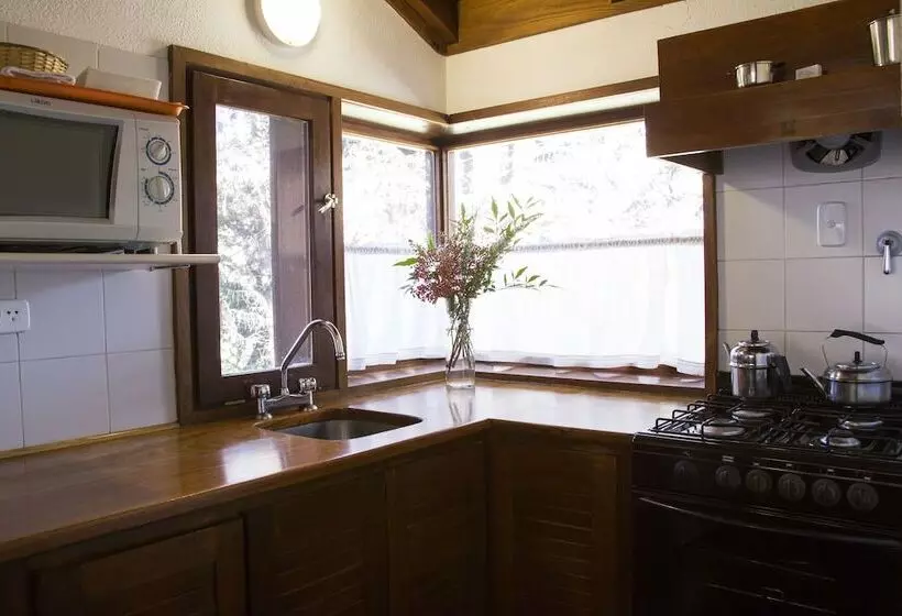 １ベッドルームアパートメント, Rincón De Los Andes Resort