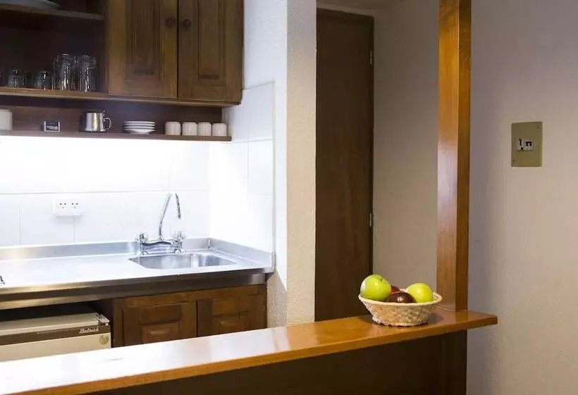 １ベッドルームアパートメント, Rincón De Los Andes Resort
