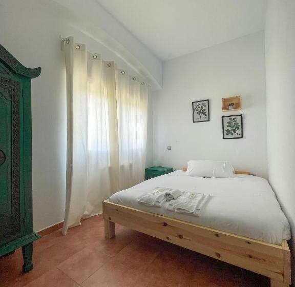 اتاق استاندارد, Arena Surf