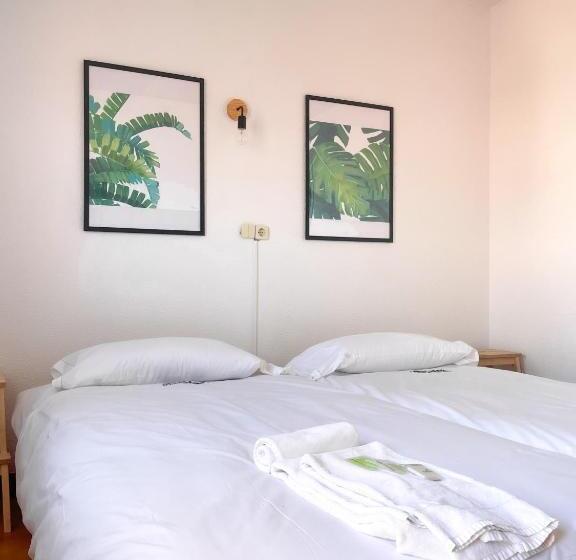 اتاق استاندارد, Arena Surf