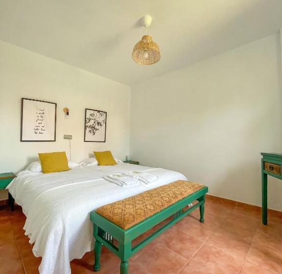 اتاق استاندارد, Arena Surf