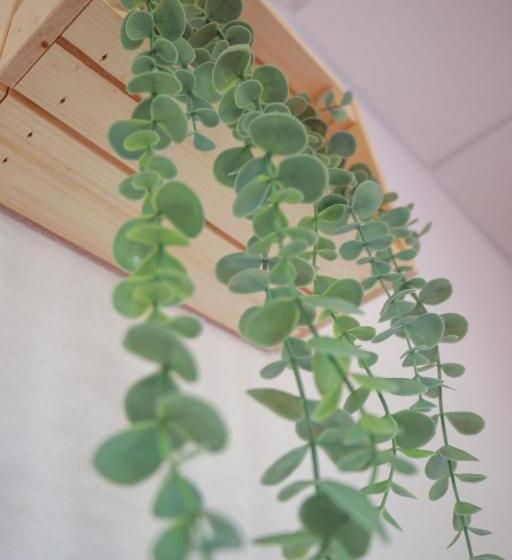 اتاق استاندارد سه نفره, Arena Surf