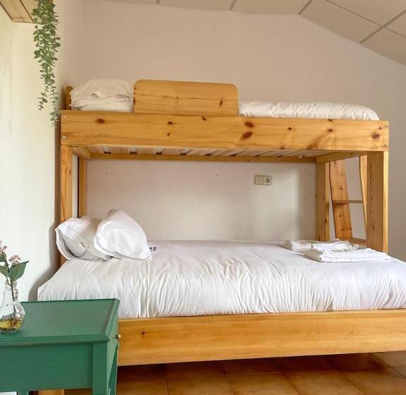 اتاق استاندارد سه نفره, Arena Surf