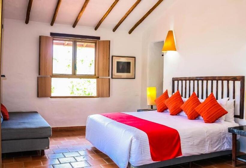 غرفة بريميوم, Terra Barichara