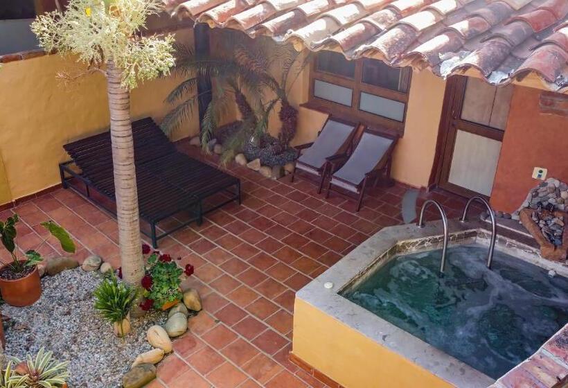 جناح مزود بتراس, Terra Barichara