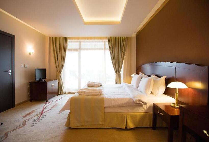 １ベッドルームのデラックスアパートメント, The Vineyards Spa & Resort