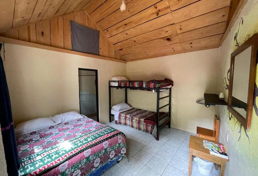 اتاق استاندارد چهار تخته, Ati Hostel & Beach Club
