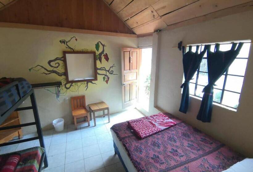 اتاق استاندارد چهار تخته, Ati Hostel & Beach Club