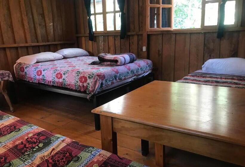اتاق استاندارد چهارنفره با سرویس بهداشتی مشترک, Ati Hostel & Beach Club
