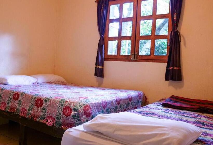 اتاق استاندارد سه تخته با سرویس بهداشتی مشترک, Ati Hostel & Beach Club
