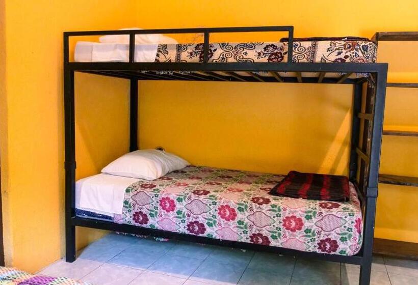 اتاق استاندارد چهار تخته, Ati Hostel & Beach Club