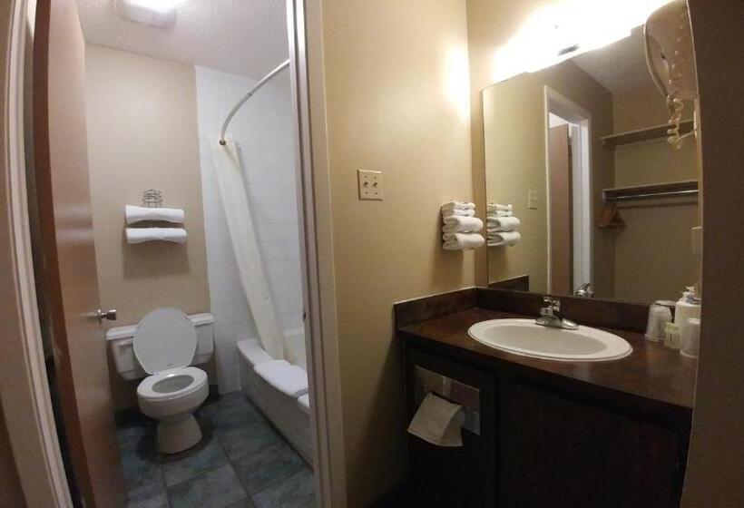 デラックスルーム, Vulcan Country Inn