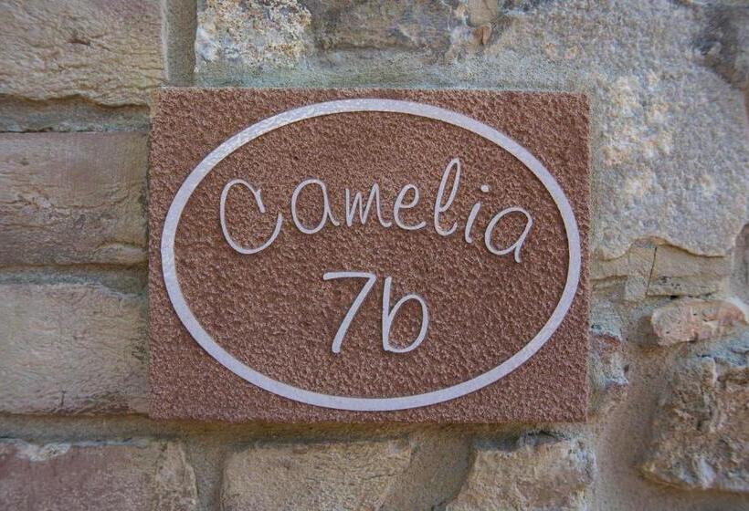 Апартаменты 1 Спальня, Agriturismo Le Gallozzole