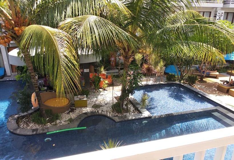 豪华房间, Abian Harmony