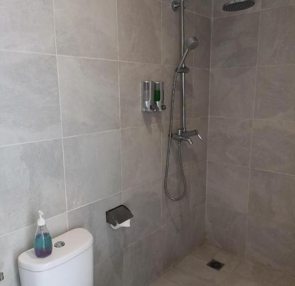 高级大房间, Abian Harmony