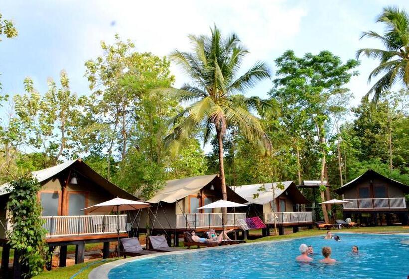 이코노미 룸, Kottawatta Village