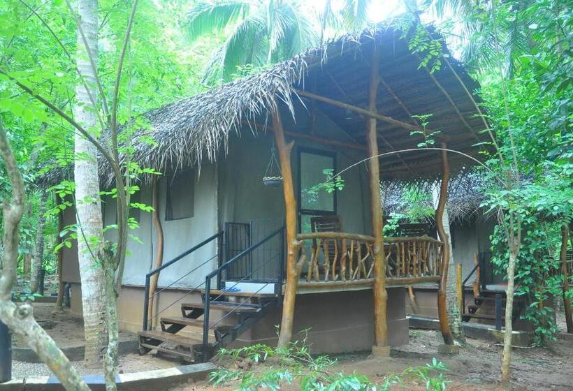 Standard Tent, Kottawatta Village