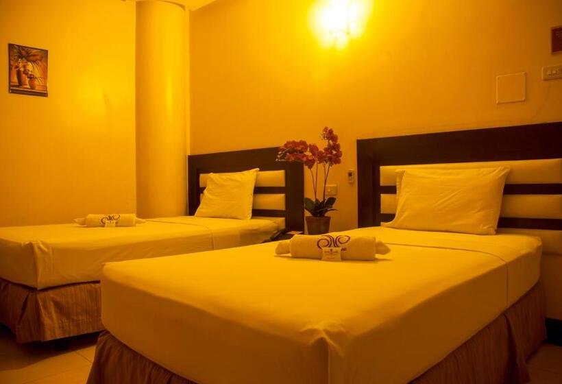 اتاق استاندارد, Nicanor