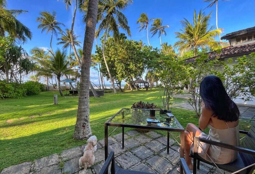 חדר סטנדרט עם מיטת קינג, Satin Doll