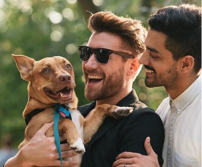 수피리어 스튜디오 바다 전망, Villa Softic