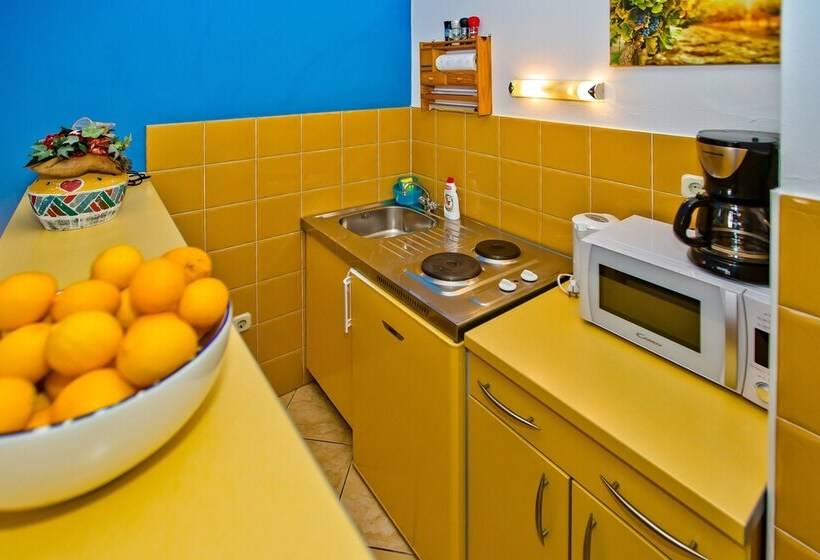 수피리어 스튜디오 바다 전망, Villa Softic