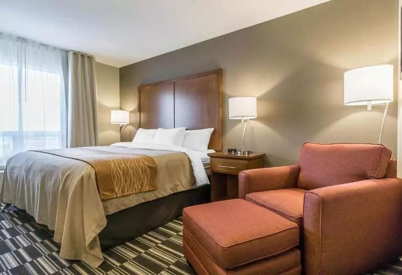 اتاق استاندارد با تخت بزرگ, Comfort Inn & Suites Edmonton International Airport
