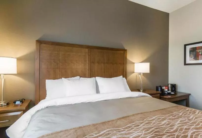 اتاق استاندارد با تخت بزرگ, Comfort Inn & Suites Edmonton International Airport