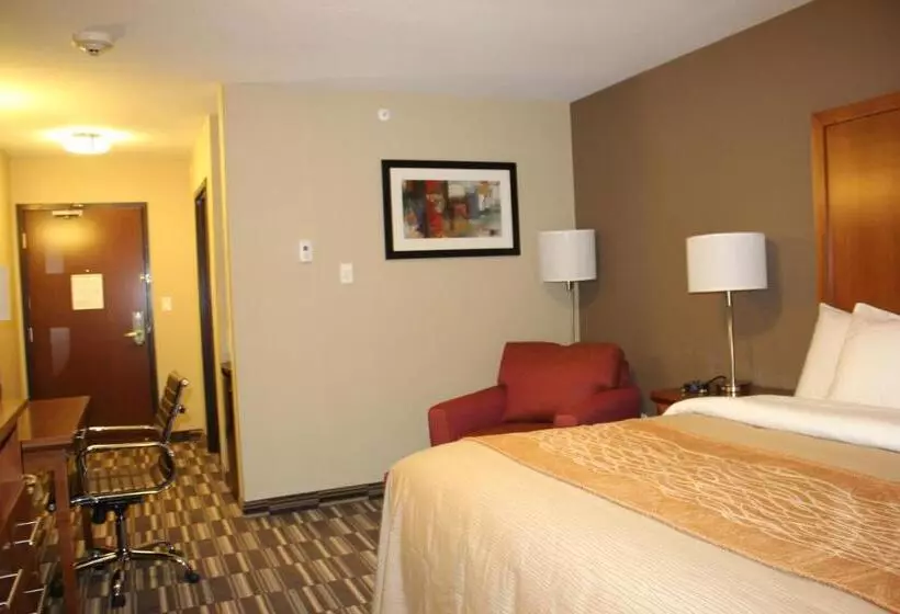 اتاق استاندارد با تخت بزرگ, Comfort Inn & Suites Edmonton International Airport