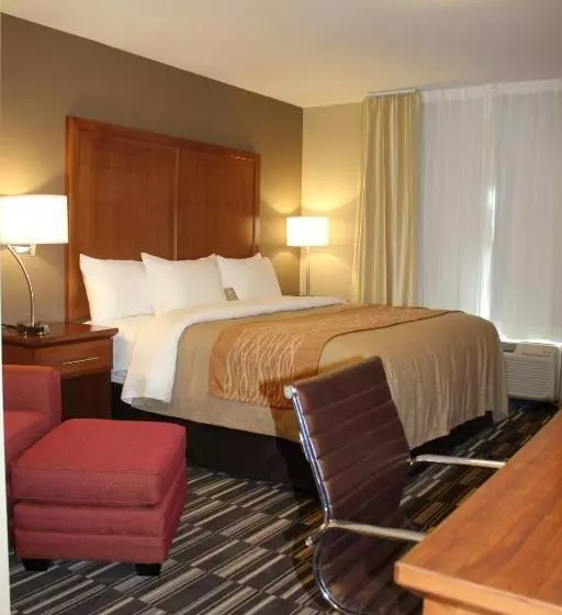 اتاق استاندارد با تخت بزرگ, Comfort Inn & Suites Edmonton International Airport