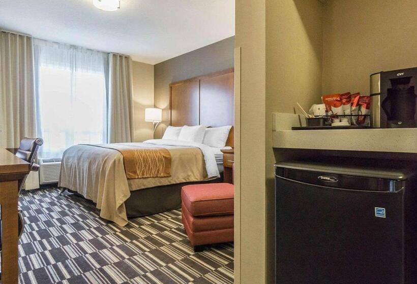 غرفة قياسية سرير كينج, Comfort Inn & Suites Edmonton International Airport