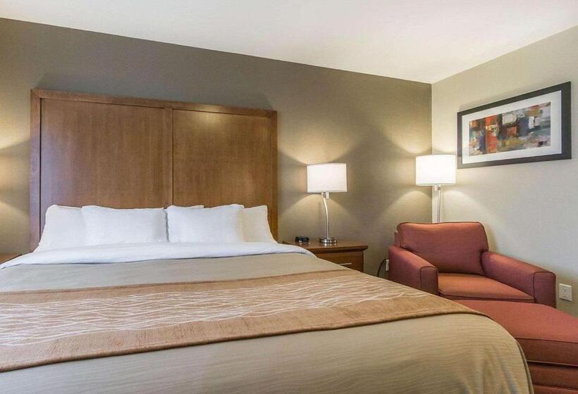 غرفة قياسية سرير كينج, Comfort Inn & Suites Edmonton International Airport