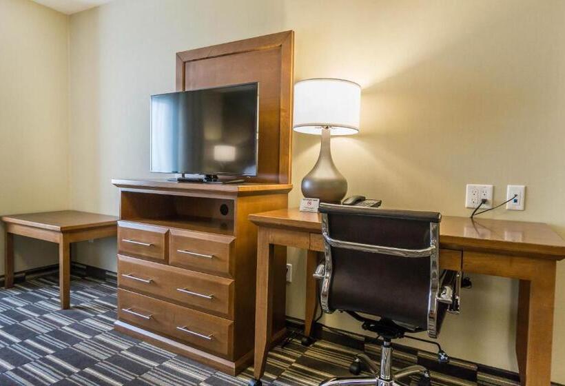 غرفة قياسية, Comfort Inn & Suites Edmonton International Airport