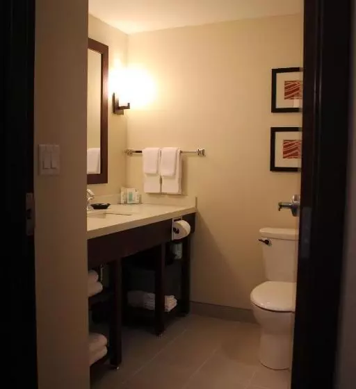 اتاق استاندارد, Comfort Inn & Suites Edmonton International Airport