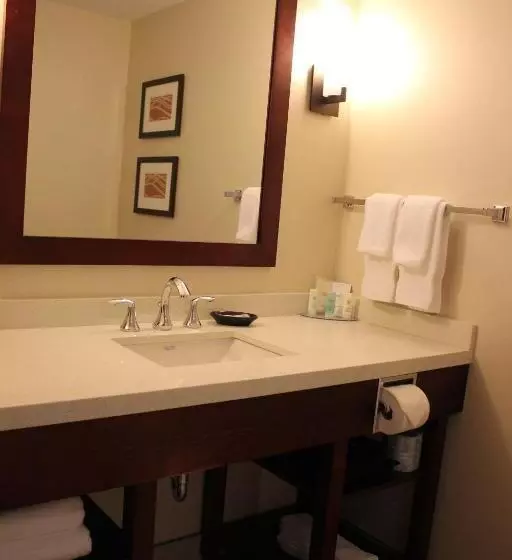 اتاق استاندارد, Comfort Inn & Suites Edmonton International Airport